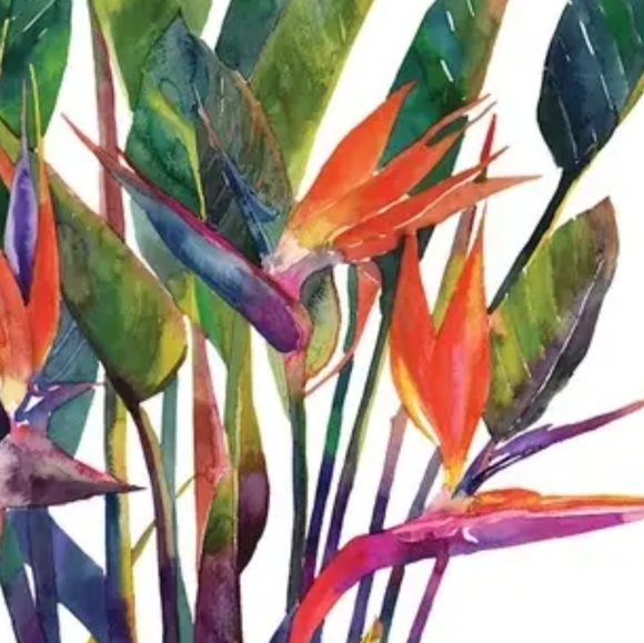 Meet your Posher, Jolanita - Picture 15 of 15